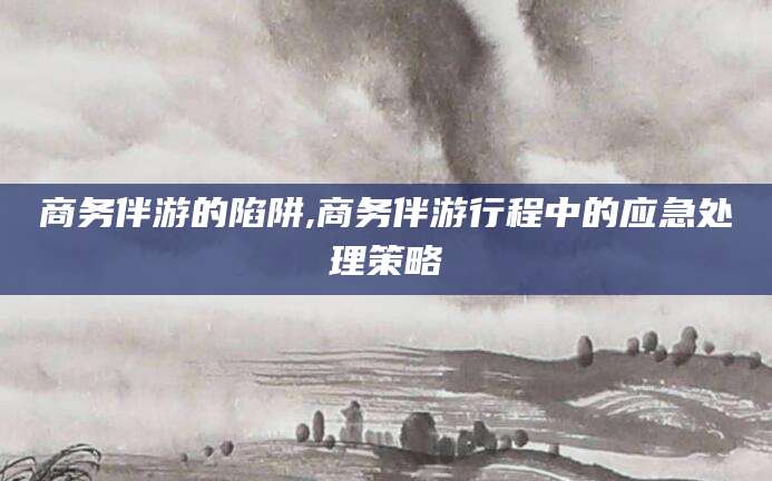 平顶山商务伴游的陷阱,商务伴游行程中的应急处理策略